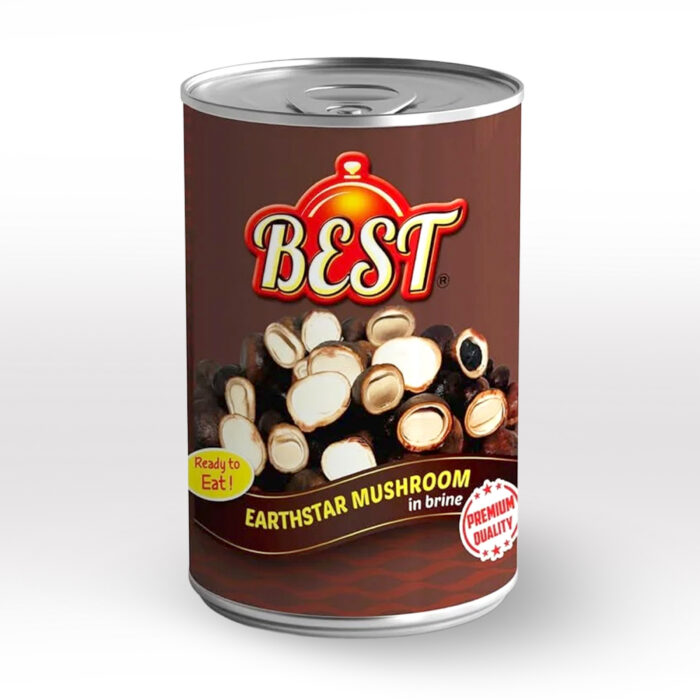 BEST Earthstar mushroom (Inn U) Best အင်ဥ - Image 1